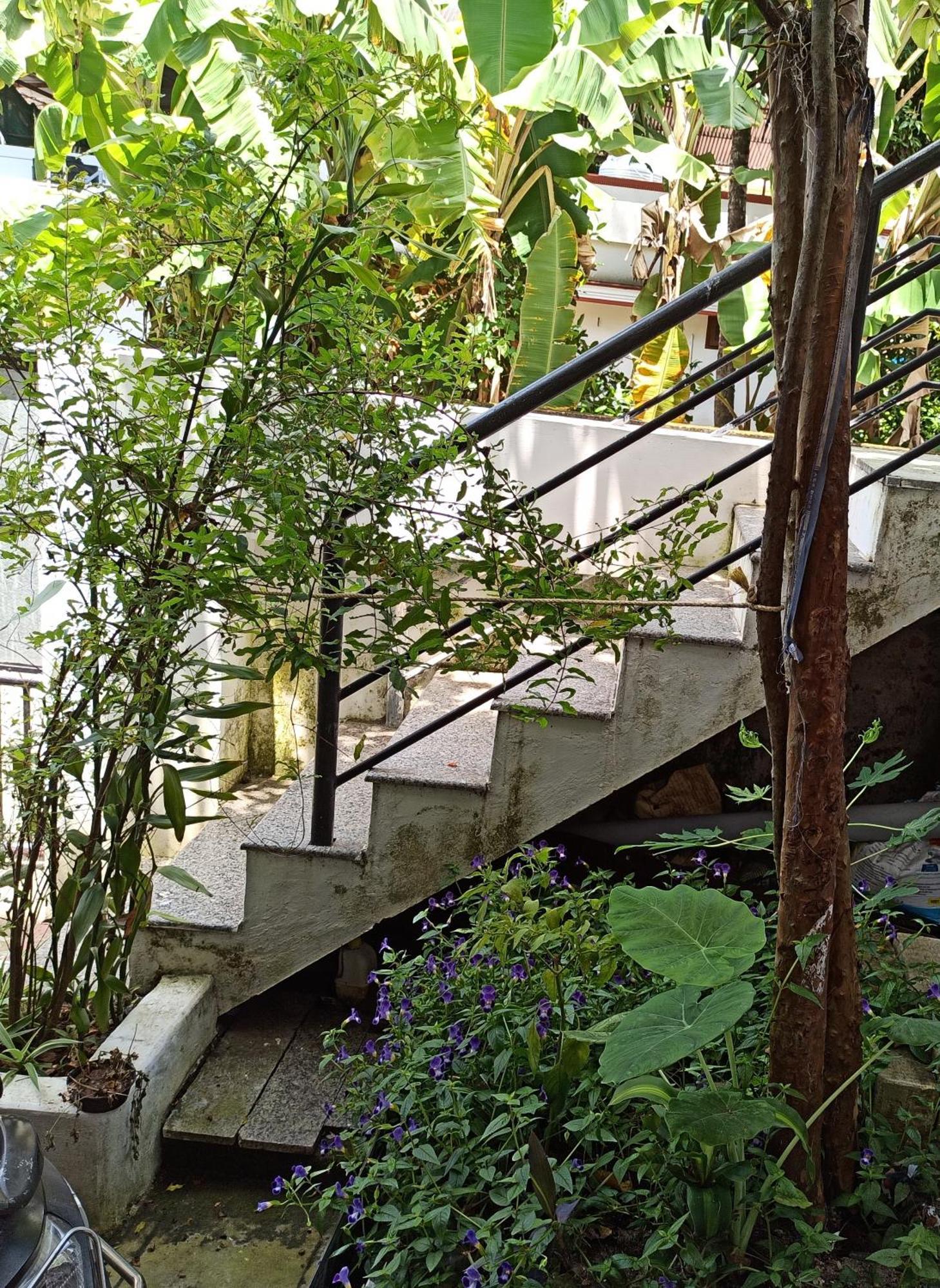 Bethesda Inn Kochi Exterior foto